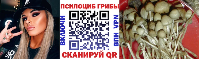 Псилоцибиновые грибы Magic Shrooms  Миллерово 